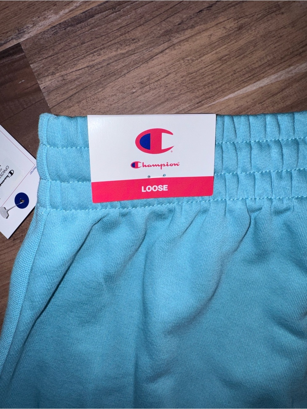 Champion Women's Mint Drawstring Athletic Shorts - Picture 4 of 4